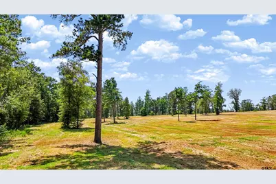 15482 Aniston Ln - (Lot 28), Flint, TX 75762 - Photo 22