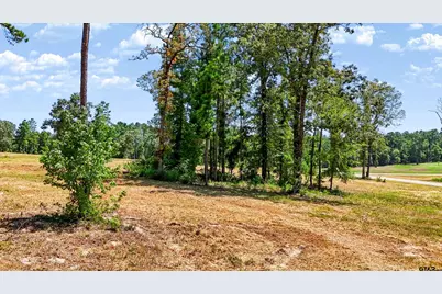 15482 Aniston Ln - (Lot 28), Flint, TX 75762 - Photo 12