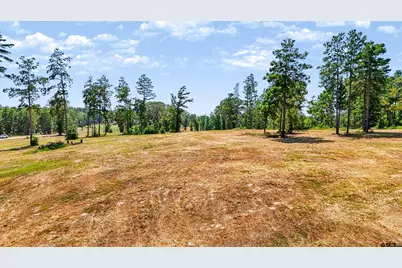 15538 Aniston Ln - (Lot 27), Flint, TX 75762 - Photo 14