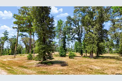 15640 Aniston Ln - (Lot 25), Flint, TX 75762 - Photo 36