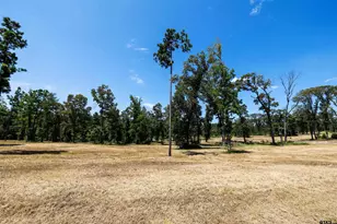 15702 Aniston Ln Lot 24, Flint, TX 75762 - Photo 1