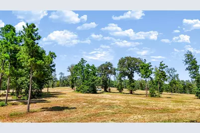 15702 Aniston Ln - (Lot 24), Flint, TX 75762 - Photo 38