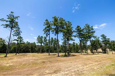 15756 Aniston Ln - (Lot 23), Flint, TX 75762 - Photo 1