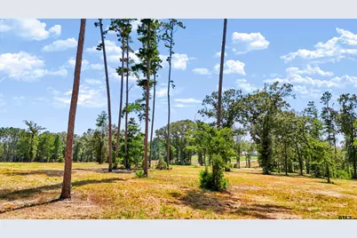 15756 Aniston Ln - (Lot 23), Flint, TX 75762 - Photo 12