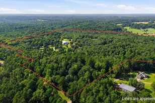 12842 FM 838, Overton, TX 75684 - Photo 48