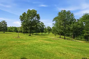 12842 FM 838, Overton, TX 75684 - Photo 36