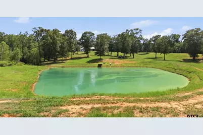12842 Fm 838, Overton, TX 75684 - Photo 40