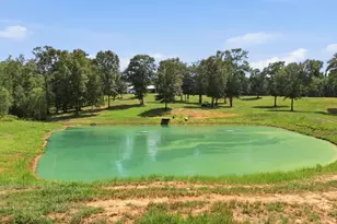 12842 FM 838, Overton, TX 75684 - Photo 40