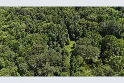 000 County Road 4903, Jacksonville, TX 75766 - Photo 2