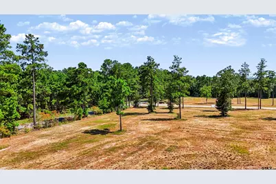 15483 Aniston Ln - (Lot 1), Flint, TX 75762 - Photo 10