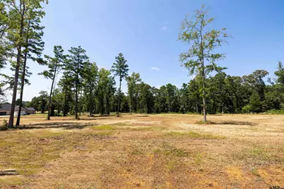 15922 Aniston Ln - (Lot 20), Flint, TX 75762 - Photo 1
