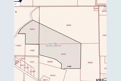 Tbd Fm 852, Winnsboro, TX 75494 - Photo 30
