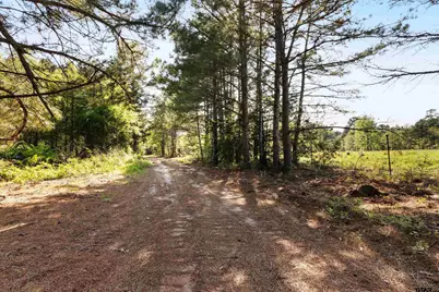 Tbd Fm 852, Winnsboro, TX 75494 - Photo 8