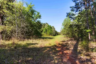 Tbd Fm 852, Winnsboro, TX 75494 - Photo 4