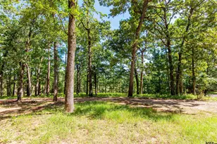 2261 FM 2972, Rusk, TX 75785 - Photo 34