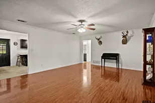419 Co Rd 4164, Pittsburg, TX 75686 - Photo 8