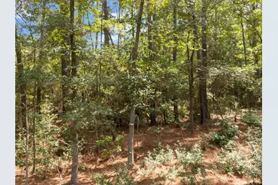Tract 1 Slash Pine, Big Sandy, TX 75755 - Photo 8