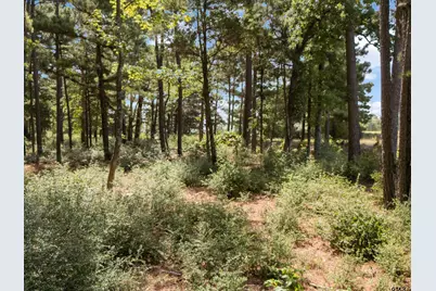 Tract 1 Slash Pine, Big Sandy, TX 75755 - Photo 6