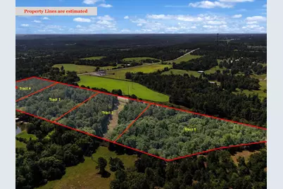 Tract 1 Slash Pine, Big Sandy, TX 75755 - Photo 4