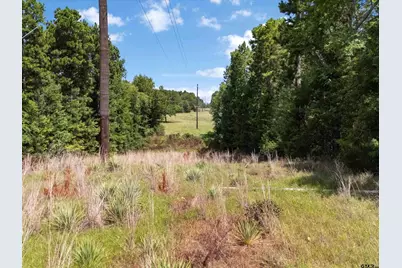 Tract 2 Fm 49, Big Sandy, TX 75755 - Photo 4
