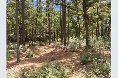 Tract 3 Fm 49, Big Sandy, TX 75755 - Photo 12