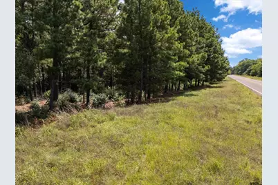 Tract 3 Fm 49, Big Sandy, TX 75755 - Photo 18