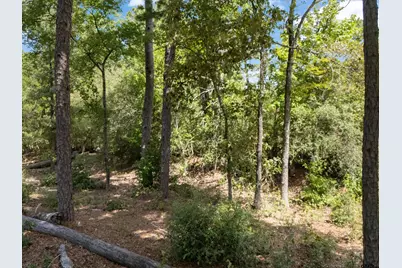 Tract 3 Fm 49, Big Sandy, TX 75755 - Photo 16