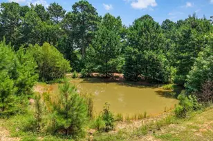 2226 Holly Rd, Gilmer, TX 75644 - Photo 10