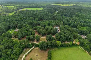 2226 Holly Rd, Gilmer, TX 75644 - Photo 8