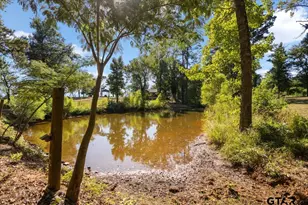 2855 Co Rd 1310, Rusk, TX 75785 - Photo 44