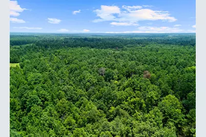 2847 Cr 1764, Jefferson, TX 75657 - Photo 6