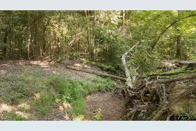 16888 Fm 2767, Tyler, TX 75705 - Photo 16
