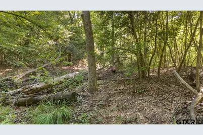 16888 Fm 2767, Tyler, TX 75705 - Photo 18