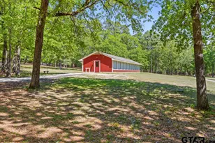 435 Wildwood Trail, Holly Lake Ranch, TX 75765 - Photo 48