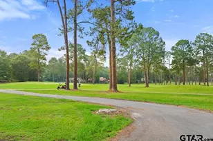 435 Wildwood Trail, Holly Lake Ranch, TX 75765 - Photo 40