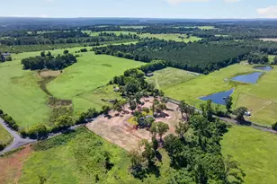 1570 Co Rd 3104, Jacksonville, TX 75766 - Photo 6