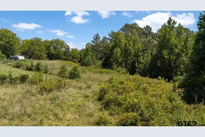 8017 Persimmon Rd, Big Sandy, TX 75755 - Photo 14