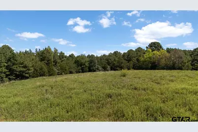 8017 Persimmon Rd, Big Sandy, TX 75755 - Photo 10