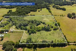 8017 Persimmon Rd, Big Sandy, TX 75755 - Photo 1