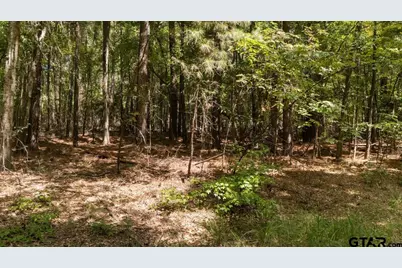 21980 Barron Rd., Chandler, TX 75758 - Photo 12