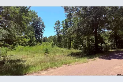 Tbd County Road 372, Winona, TX 75792 - Photo 8