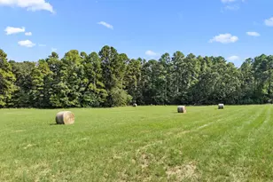 1081 Co Rd 3875, Mineola, TX 75773 - Photo 4