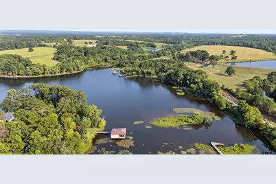 23525 County Road 4117, Frankston, TX 75763 - Photo 14