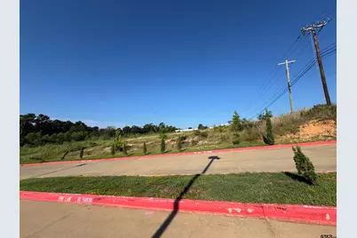 2700 S Loop 256 Lot A, Palestine, TX 75801 - Photo 18