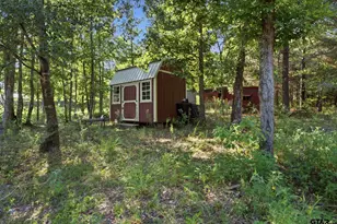 10638 Cr 214, Tyler, TX 75707 - Photo 44