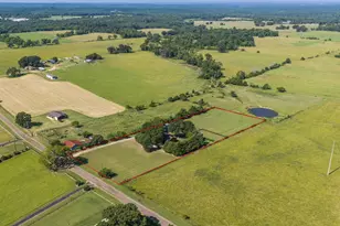 3155 Co Rd 3701, Bullard, TX 75757 - Photo 4