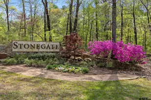 3060 Stonegate Blvd, Tyler, TX 75703 - Photo 46