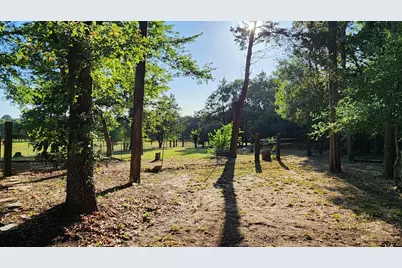 6231 County Road 4511, Athens, TX 75752 - Photo 6