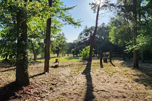 6231 Co Rd 4511, Athens, TX 75752 - Photo 6