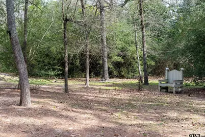 138 Green Knoll, Holly Lake Ranch, TX 75765 - Photo 26